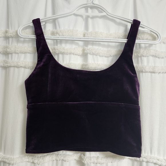 Bnwot Gorgeous Velvet Crop Top. Firm On Price. - Picture 3 of 9